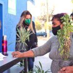 Pandemia de Covid-19 contenida en Valle de México