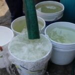 Candidatos a gobernador por NL ¿Quiénes son y qué prometen?