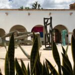 Urge senadora Audelia Villarreal crear registro nacional de cardiopatías