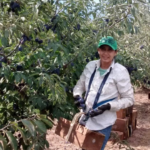 ‘Ejército y GN evitan que ingresen los delincuentes’: Flores Femat