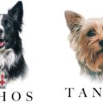 Caso Murillo Karam, “prueba de fuego” para Poder Judicial; pruebas insuficientes: Monreal