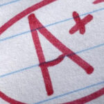 Arcadi Palerm-Artis alivia su duelo con Oliverio y la piscina, su ópera prima