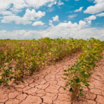 Sabina celebra 75 años volcado en su nuevo disco y en la incertidumbre sobre su futuro