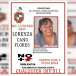 Nevadas y lluvias heladas congelan Alemania; cancelan vuelos en todo el país