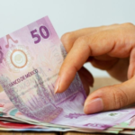 ¿Bimbo o Wonder?: Este es el mejor pan de caja del mercado, según la Profeco