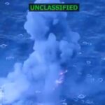 “Frontera en alerta: México cierra puertas a carne de aves estadounidenses luego de detectar riesgo sanitario”