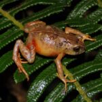 El caos en los filas del poder: Pepe Madero enfrenta la tempestad de la infidencia que sacude a PXNDX