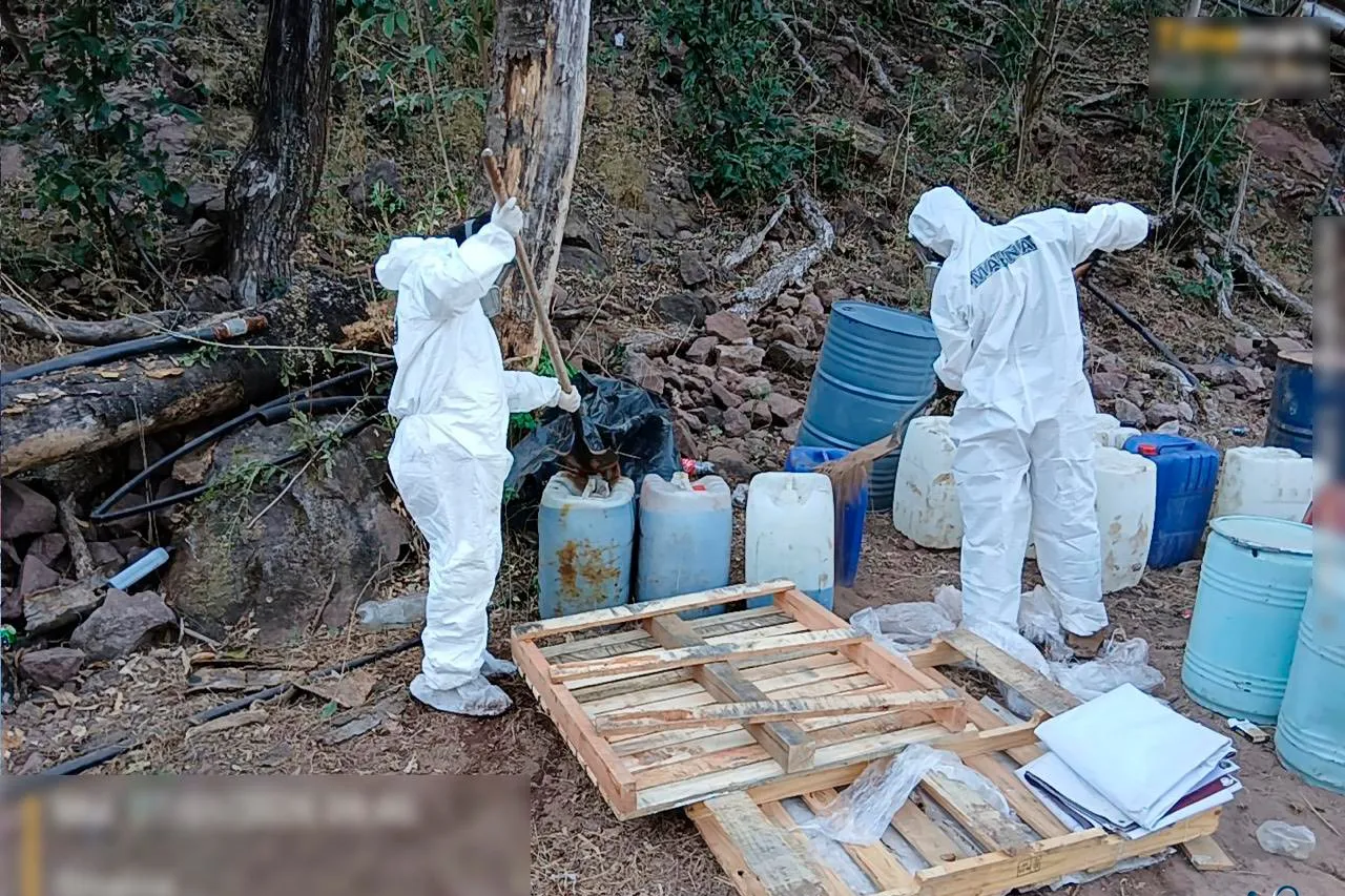 Destruye Marina laboratorio clandestino en Sinaloa