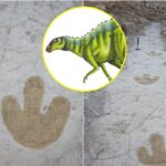 ¿Cuánto falta para Semana Santa 2026? Fecha exacta del inicio de las vacaciones en escuelas