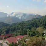 Acusados de homicidio: vinculan a proceso a presuntos responsables del crimen contra matrimonio