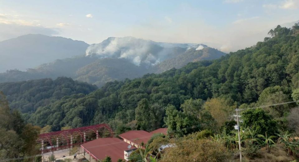 Oaxaca en crisis: balaceras y violencia dejan un herido en comunidades triquis