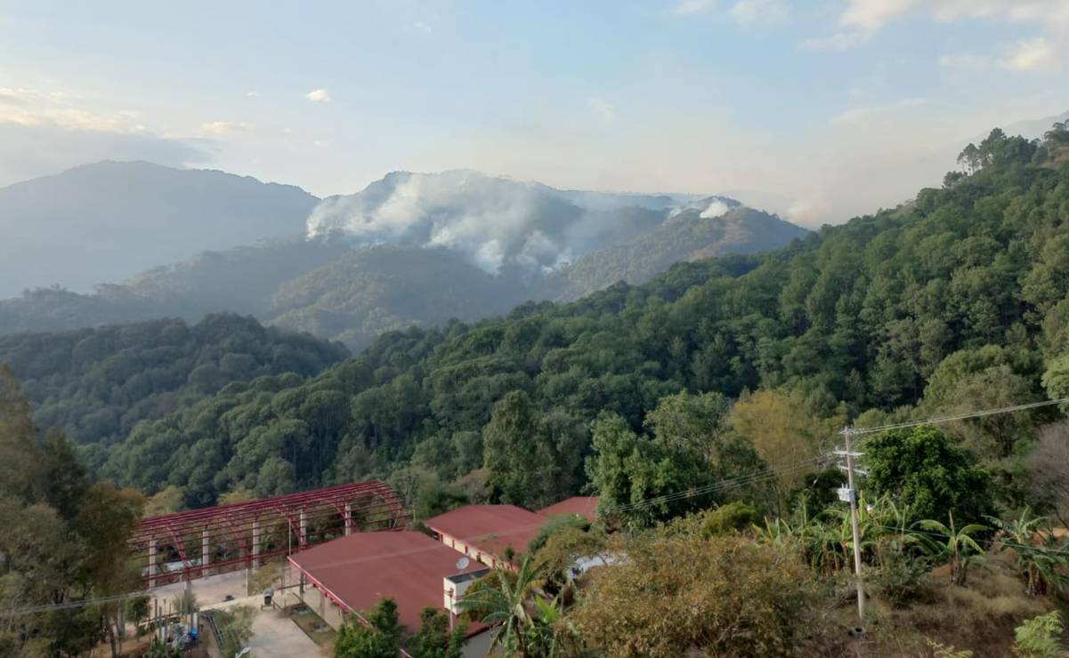 Oaxaca en crisis: balaceras y violencia dejan un herido en comunidades triquis